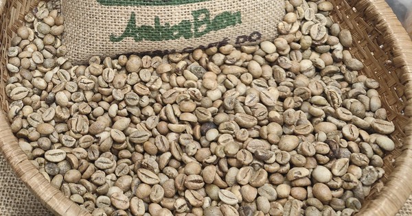 Giá cà phê hôm nay 10-12: Cắt mạch giảm sau 6 phiên