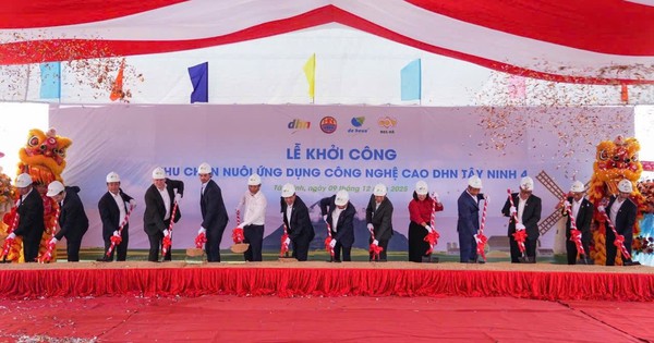 Cú hích đầu tư trăm tỷ giúp Tây Ninh thành thủ phủ chăn nuôi gia cầm hiện đại