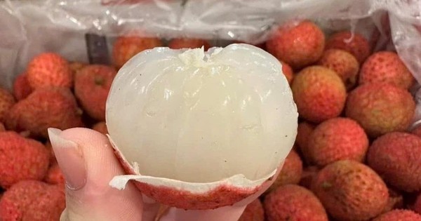 Vải thiều Úc giá gần 5 triệu/thùng 5 kg ở Việt Nam