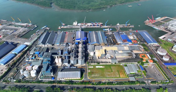 Hai tập đoàn tỷ đô rót thêm 100 triệu USD vào Việt Nam, TP.HCM sở hữu nhà máy dầu dậu nành lớn nhất Đông Nam Á