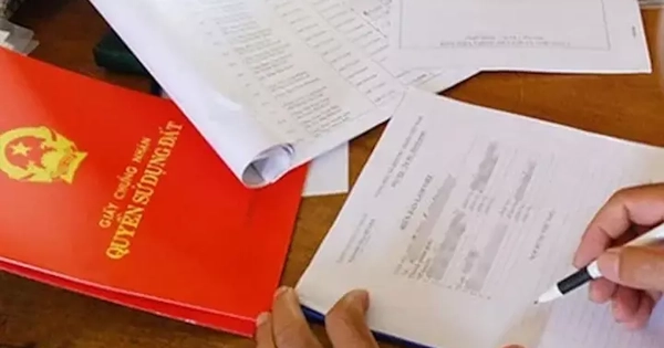 Thanh tra TPHCM vào cuộc vụ hô biến đất công thành 'đất ông'