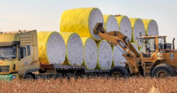 Mỹ chi hơn 16 tỷ USD mua 'mỏ vàng' thứ 3 thế giới của Việt Nam: Nước ta đã xuất sang 2/3 thế giới, 3 ông trùm thống trị toàn cầu đều đến từ châu Á