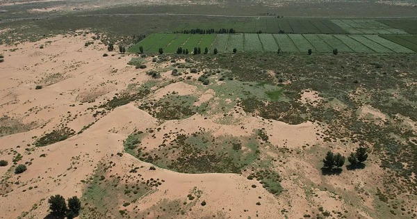 Trung Quốc ‘vỡ mộng’: Tốn 50 năm trồng 66 tỷ cây làm Vạn Lý Trường Thành nhưng vẫn bị sa mạc 'nuốt chửng' đất, tham vọng chế ngự thiên nhiên có khả thi?