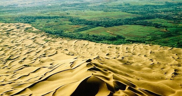 Kỳ tích gọi tên Trung Quốc: trồng 100 tỷ cây xanh dựng ‘vạn lý trường thành’ chặn đà mở rộng của 2 sa mạc khổng lồ, tăng 10% diện tích rừng của Trái Đất