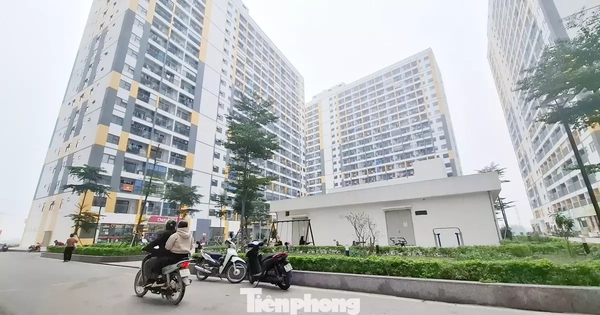 Bắc Ninh, Hải Phòng phát hiện hàng loạt sai phạm mua bán nhà ở xã hội