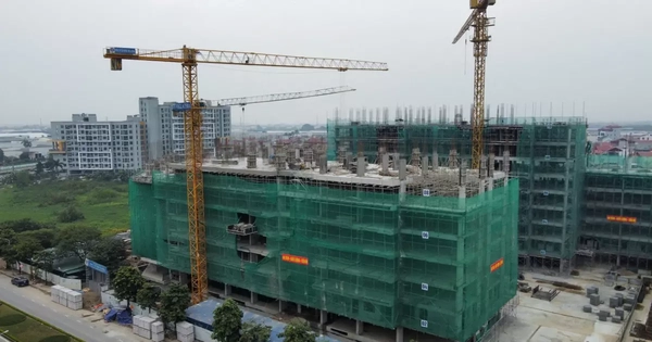 Cần mạnh tay với vi phạm trục lợi nhà ở xã hội