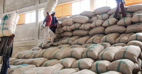 Hàng chục nghìn tấn hàng của Việt Nam được Nga đổ tiền mua với giá cực đắt: thuế nhập khẩu 0%, sản lượng hơn 1 triệu tấn/năm