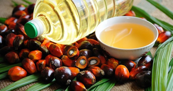 Ấn Độ tăng cường nhập khẩu dầu cọ từ Đông Nam Á