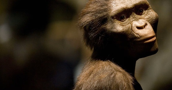 Bàn chân 3,4 triệu tuổi làm thay đổi lịch sử loài người