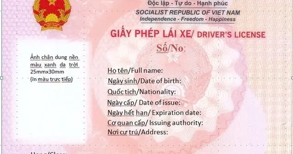 Có bắt buộc phải đổi Giấy phép lái xe mới màu hồng ngay trong năm 2025?