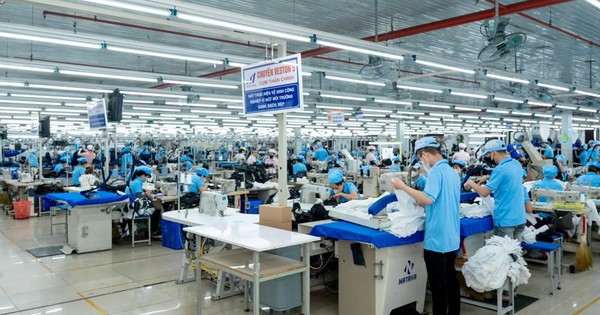 Công ty Dệt may trả cổ tức 25% bằng tiền mặt