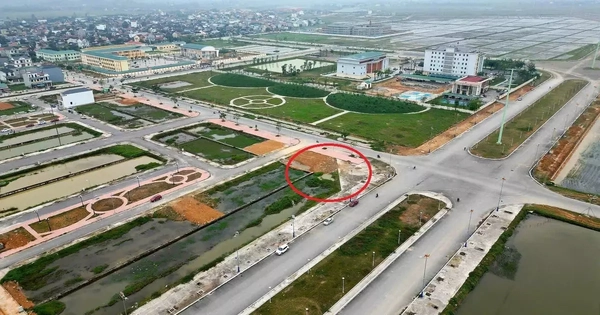 Lý do lô đất nông thôn giá khởi điểm hơn 12 tỷ đồng bị 'ế'