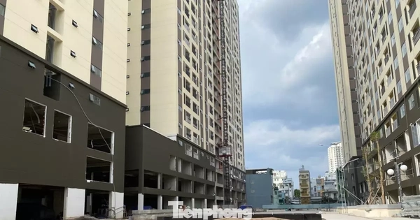 Chi tiết 8 khu đất làm nhà ở xã hội TPHCM sẽ chọn chủ đầu tư đầu năm 2026