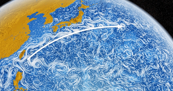 Ngoài khơi Nhật Bản đang diễn ra hiện tượng kỳ quái nhất trên Trái đất