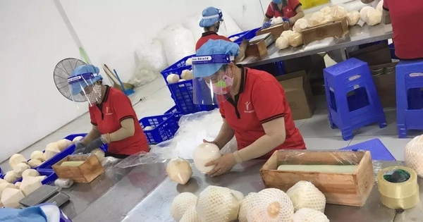 Thích ứng chính sách thuế của Mỹ vừa cấp bách, vừa lâu dài