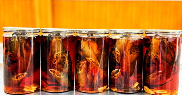 Đặc sản cua gạch Cà Mau ngâm nước mắm giá gần 1 triệu đồng/kg