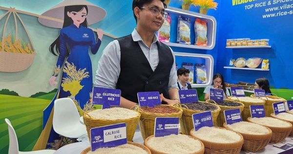 Xuất khẩu gạo dốc sức vượt khó