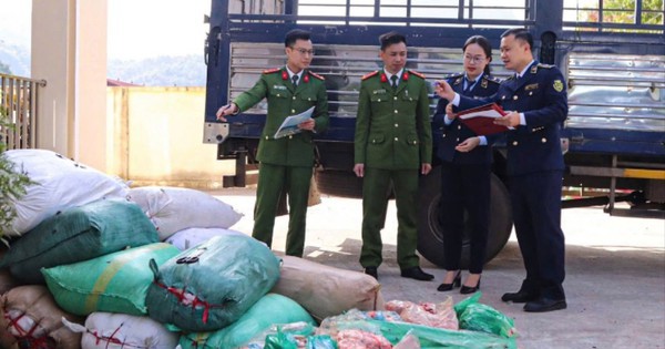 Bí mật giấu kín trong 40 bao tải trên xe ô tô đậu ven đường