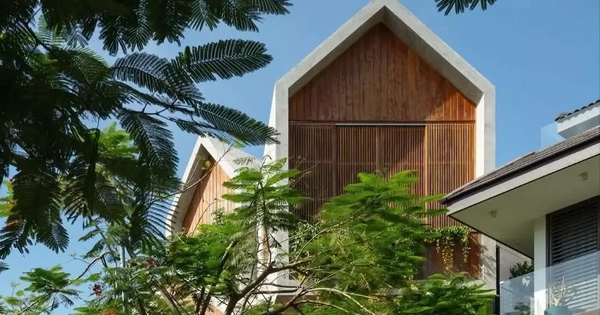 Nhà phố thiết kế với sân vườn và cây xanh ‘len lỏi’ vào từng không gian