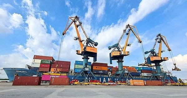 Nhóm Viconship muốn nâng mạnh tỷ lệ sở hữu tại Xếp dỡ Hải An