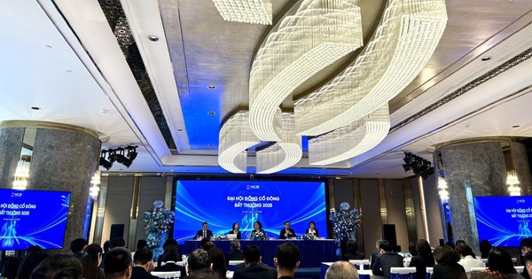 ĐHCĐ bất thường NCB: Đề xuất phát hành riêng lẻ 1 tỷ cổ phiếu để tăng vốn, bầu HĐQT nhiệm kỳ mới