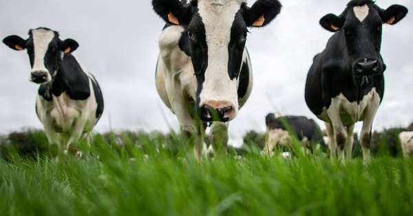 Trung Quốc ‘trả đũa’