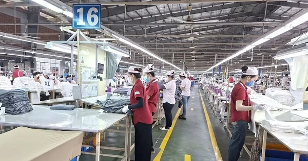 Doanh nghiệp FDI lâu đời nhất TPHCM sắp đóng cửa