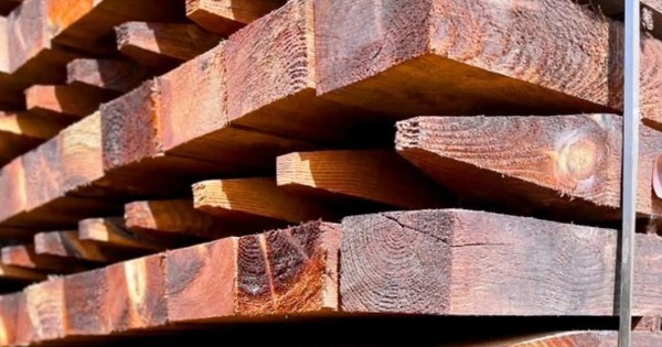 Phát minh của Mỹ làm rung chuyển cả 3 ngành xây dựng, giao thông, vũ trụ: Vật liệu bền ngang nhôm thép, chống ẩm chống cháy ‘ngon ơ’, giảm 90% phát thải carbon