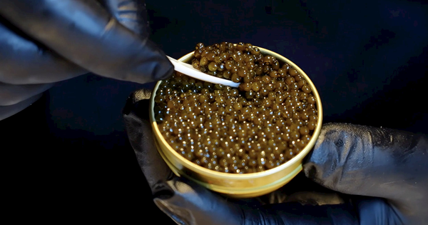 Cứ 10 hộp trứng cá muối thì 6 hộp ‘Made in China’: Trung Quốc từ kẻ vô danh thành nhà sản xuất số 1 thế giới