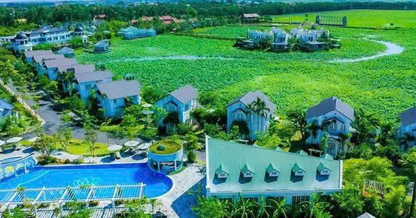 Cổ đông lớn của TIG 'xả hàng' 4 triệu cổ phiếu