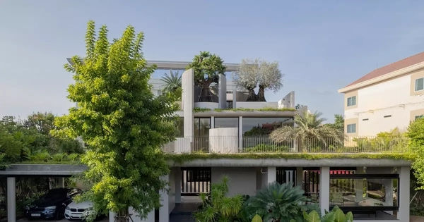 Biệt thự 3 tầng với kiến trúc mở, sống xanh giữa đô thị nhiệt đới