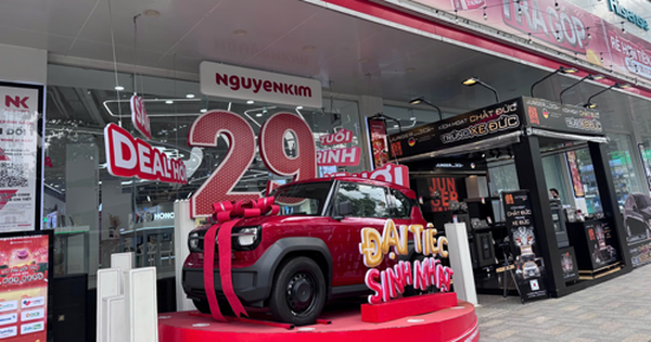 Thương vụ Nguyễn Kim và thị trường điện máy