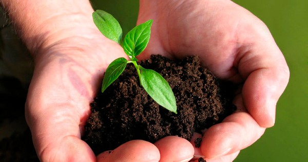 CTCK điểm tên doanh nghiệp phân bón tiềm năng 2026, kỳ vọng tăng trưởng 2 chữ số