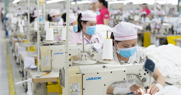 Công ty Panko Vina ngưng hoạt động: Chiều nay, đoàn liên ngành làm việc với doanh nghiệp