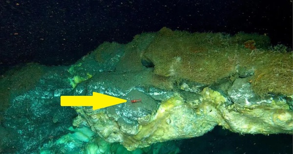 Phát hiện bí mật chưa từng có dưới đáy biển sâu 3.640m ở Greenland