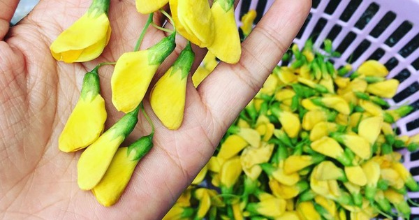 Đặc sản miền Tây: Xưa mọc dại bờ ao, nay thành "lộc trời", hơn 200.000/kg vẫn đầy người mua