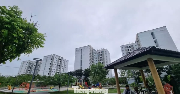 Giá thuê nhà ở xã hội tại Đà Nẵng sẽ biến động ra sao?