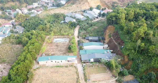 Lào Cai: Đất rừng Văn Phú bị phân lô có hợp pháp ?