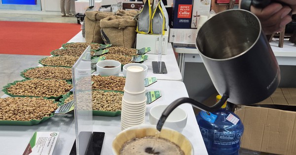 Giá cà phê hôm nay 31-12: Robusta tăng phiên thứ 5