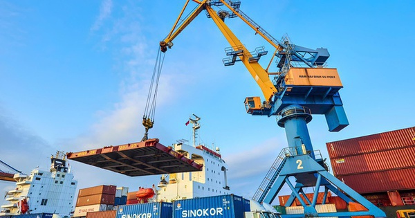 Nhóm Viconship nâng sở hữu lên gần 24% vốn tại Xếp dỡ Hải An