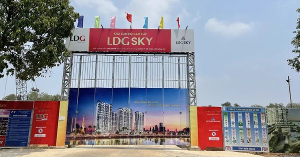 LDG Group quyết định bán toàn bộ dự án gần 1.700 căn hộ tại TP.HCM, mở màn kế hoạch tái cơ cấu dòng tiền