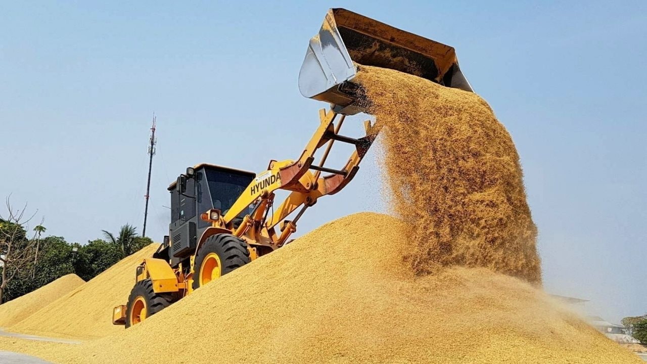 Vựa lúa lớn nhất thế giới tồn kho tăng kỷ lục, đối thủ của gạo Việt Nam nhận tin không vui - Ảnh 1