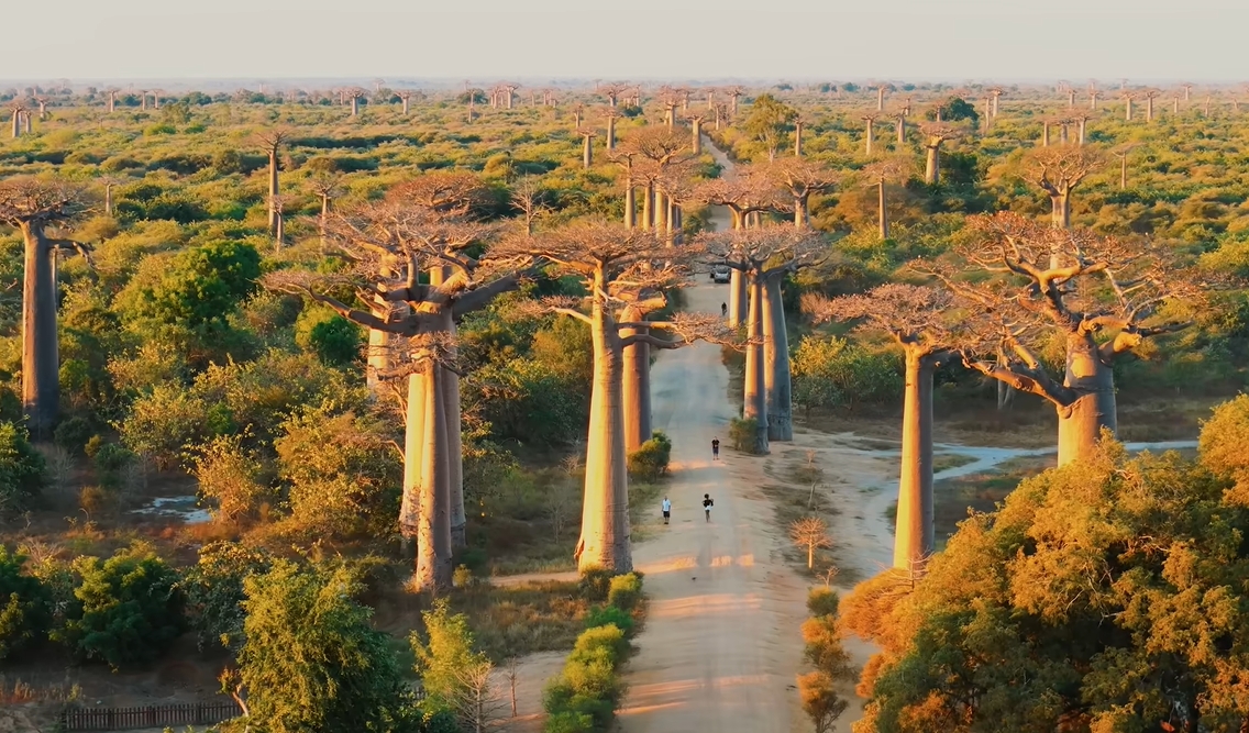 Khoai Lang Thang đã đến mức độ này rồi hả? - Ảnh 9