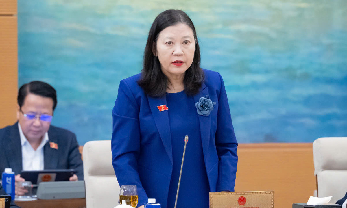 Nhiều người bị lừa đảo, bỗng dưng thành giám đốc công ty 'ma' - Ảnh 1