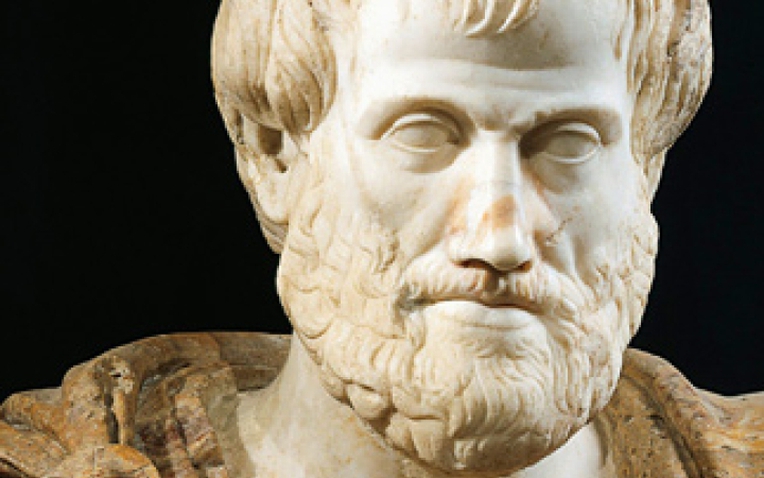 Aristotle đã sai - Ảnh 1