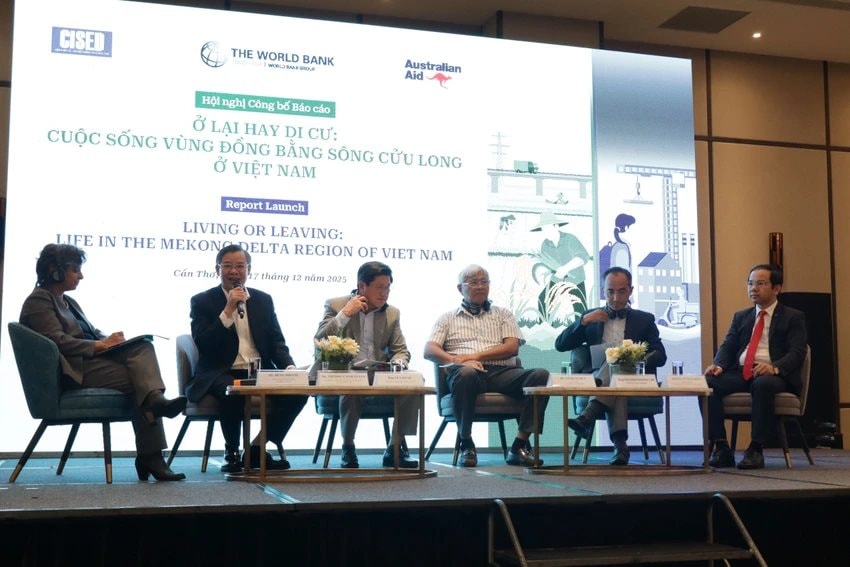 Đâu là lý do gần 1,7 triệu người Việt Nam rời khỏi Đồng bằng sông Cửu Long 10 năm qua? - Ảnh 2