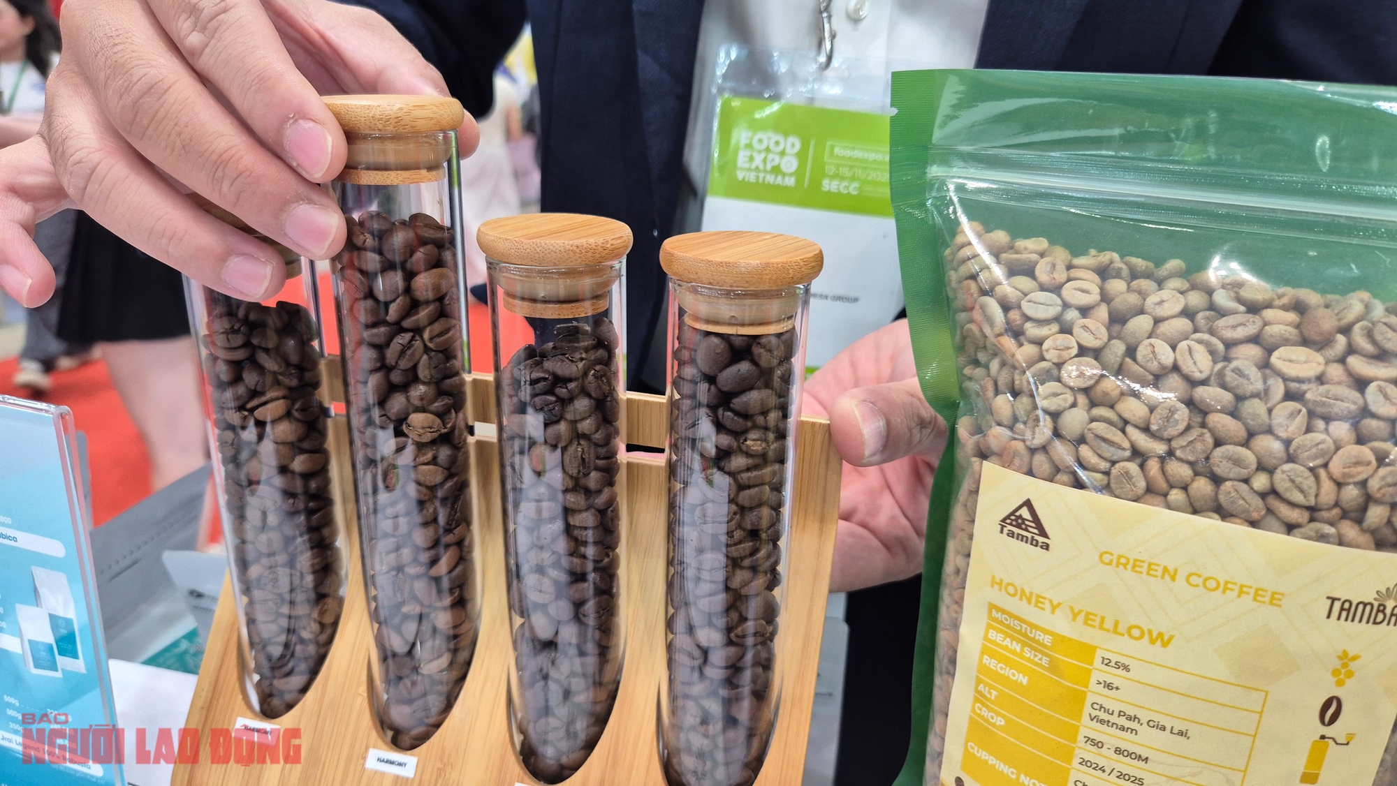 Giá cà phê hôm nay 2-12: Giảm mạnh, hàng trăm nhà mua hàng quốc tế đang quy tụ tại TP HCM - Ảnh 1