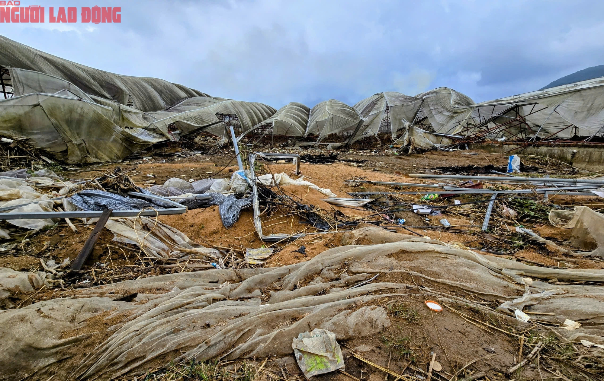 CLIP: Vựa rau lớn nhất Lâm Đồng xác xơ, nông dân mất tiền tỉ sau cơn "đại hồng thủy" - Ảnh 1
