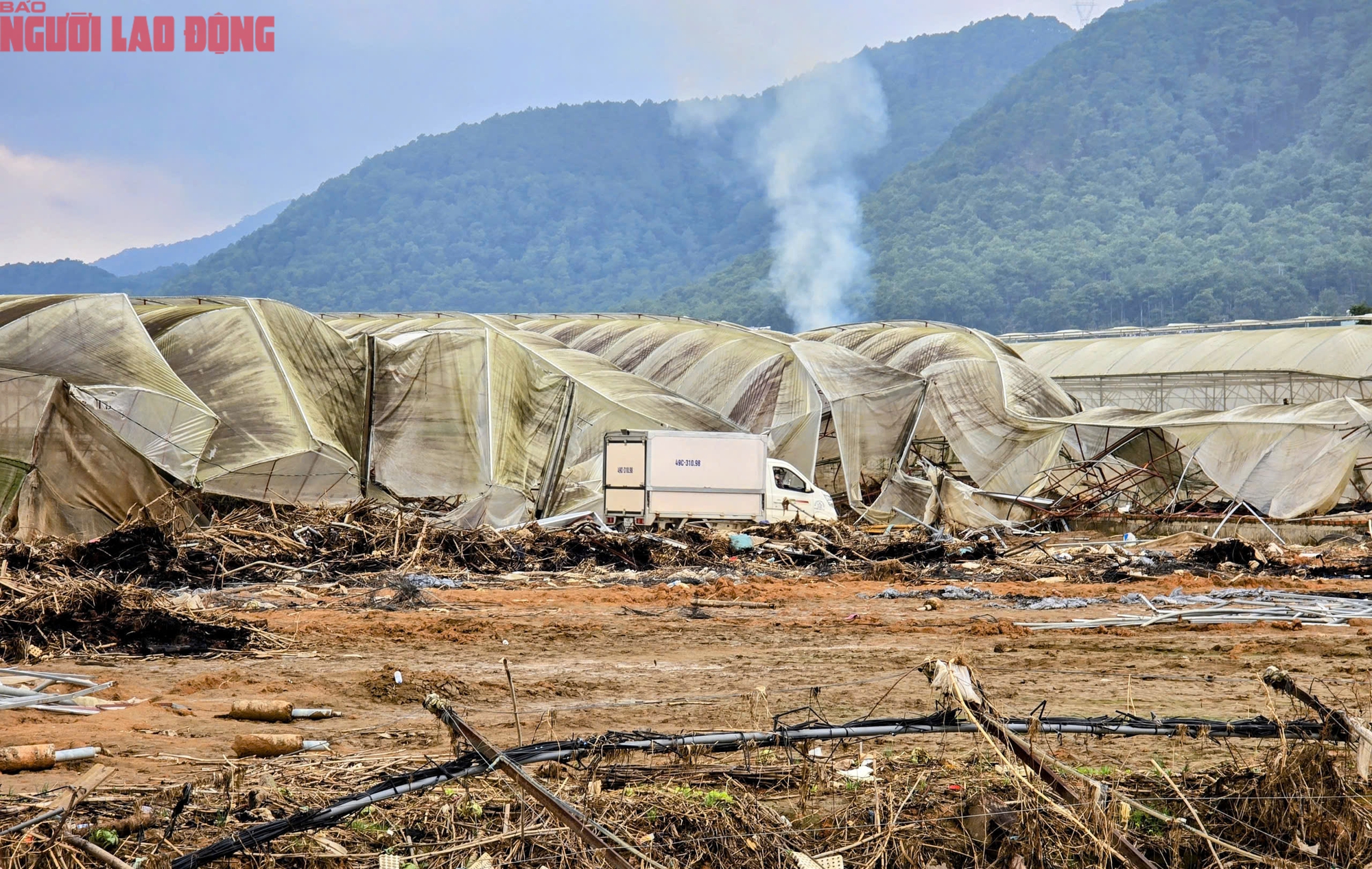 CLIP: Vựa rau lớn nhất Lâm Đồng xác xơ, nông dân mất tiền tỉ sau cơn "đại hồng thủy" - Ảnh 2