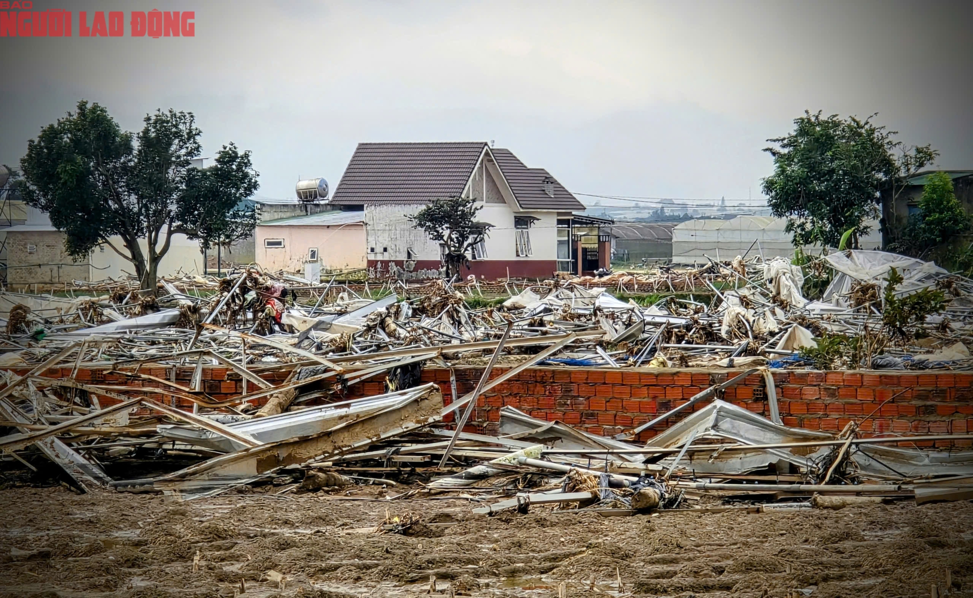 CLIP: Vựa rau lớn nhất Lâm Đồng xác xơ, nông dân mất tiền tỉ sau cơn "đại hồng thủy" - Ảnh 3